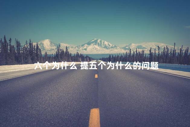 六个为什么 提五个为什么的问题